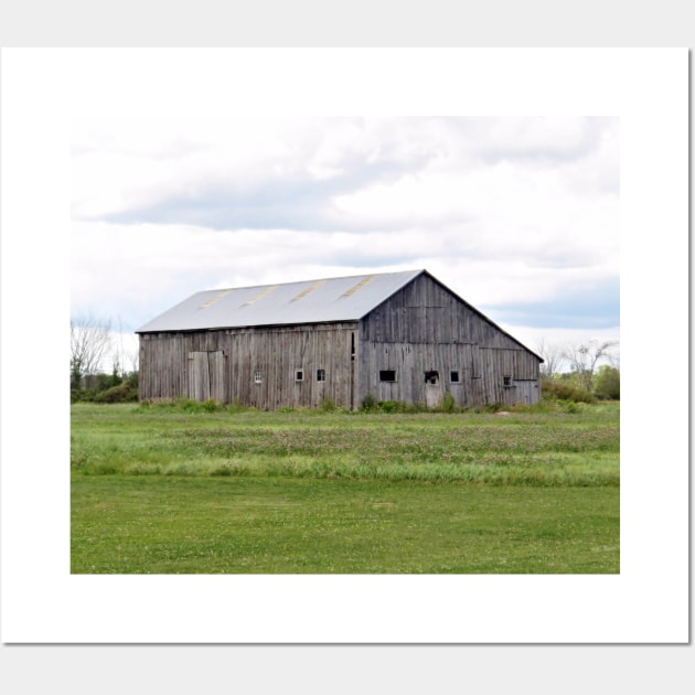 Meadow - Eastern Ontario Wall Art by MaryLinH